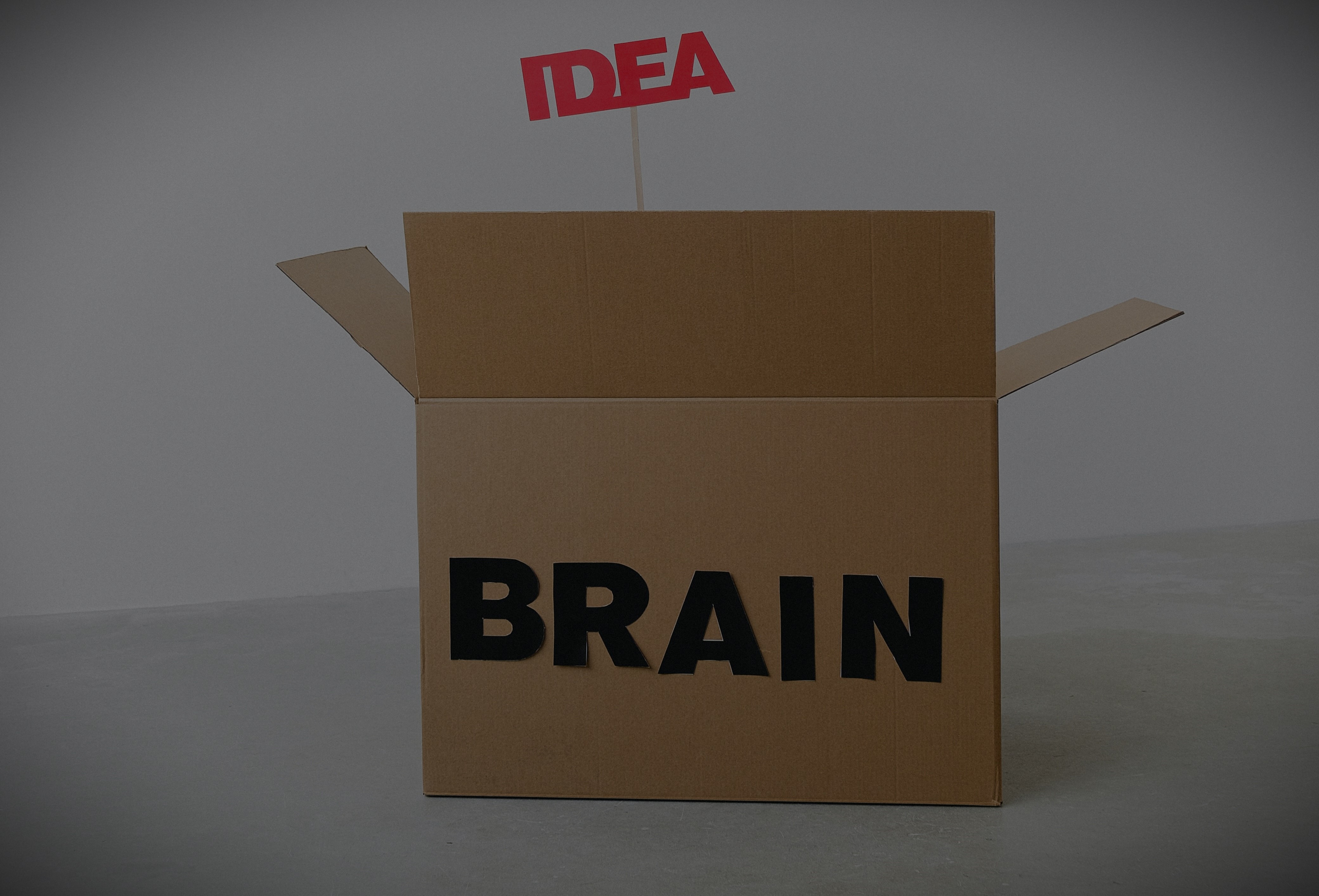 Language guides reasoning