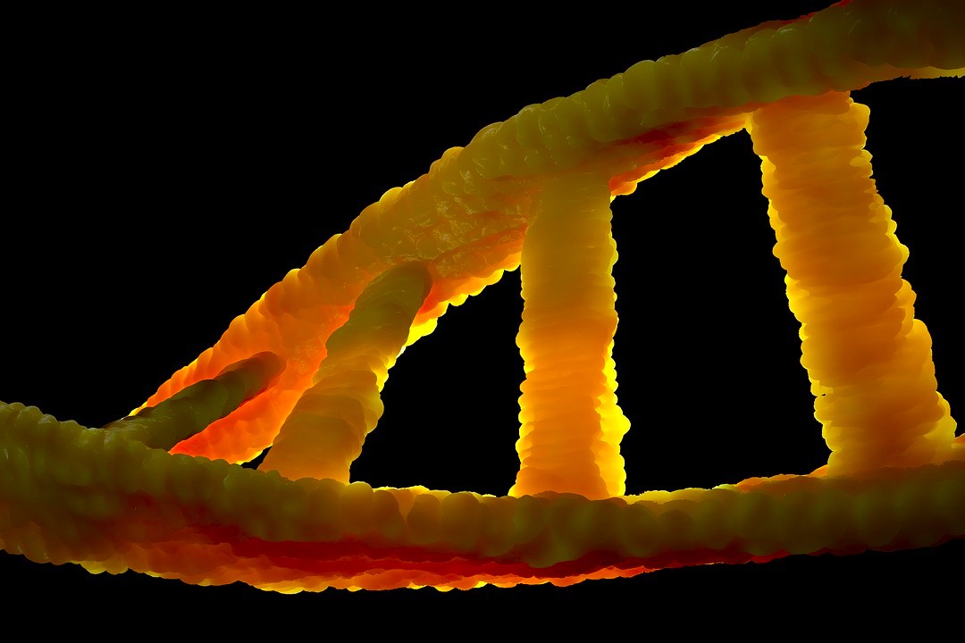The Discovery of DNA: A Milestone in Science