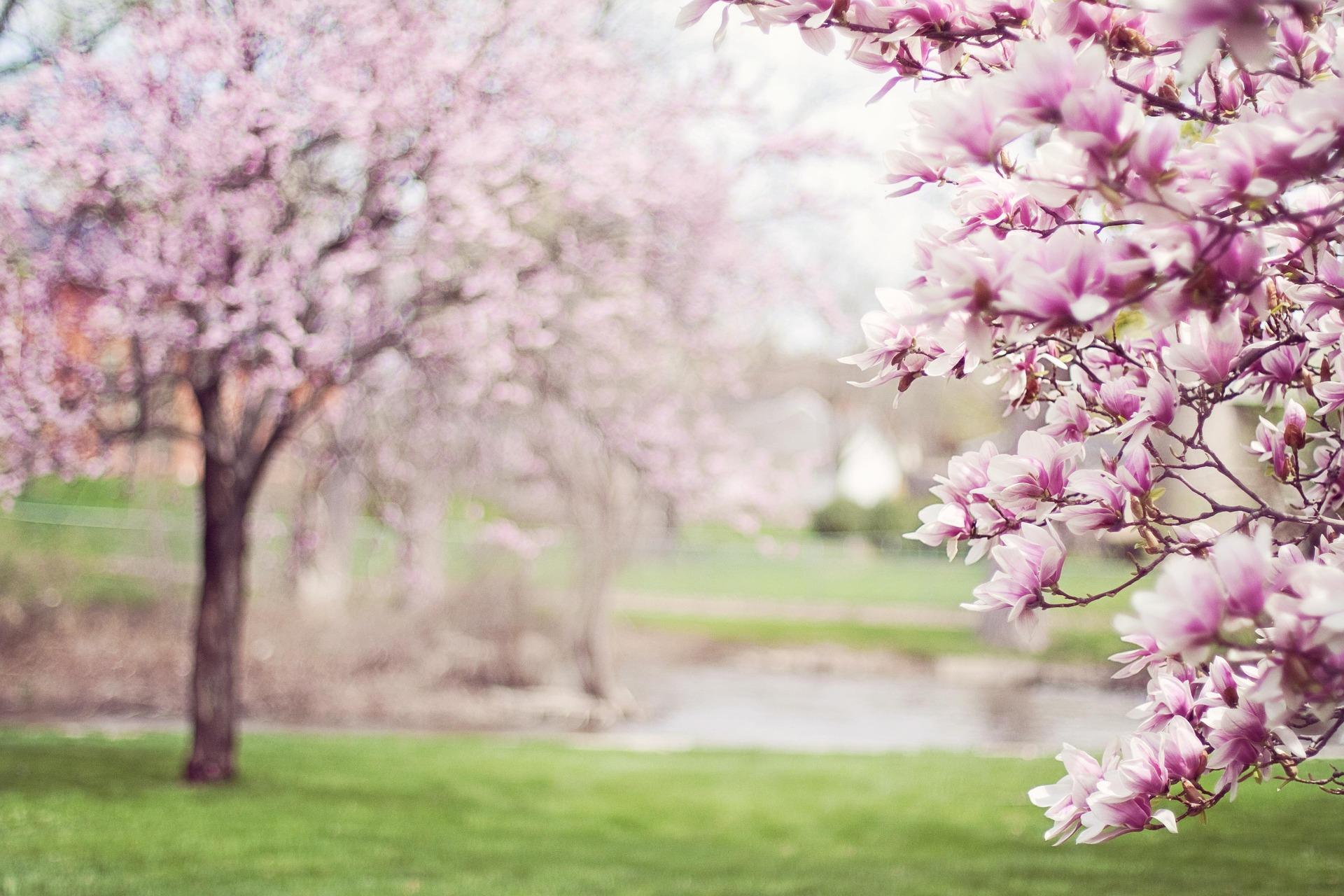 The Spring Equinox – welcoming balance and change
