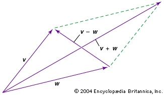 Vectors: The Building Blocks of Linear Algebra