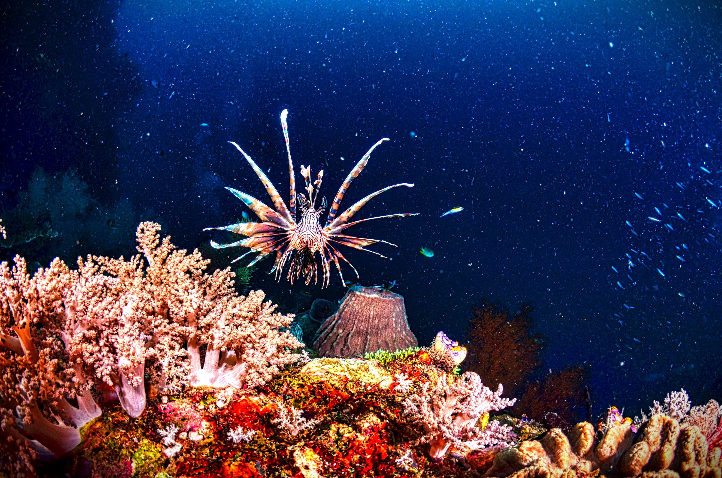 World oceans day: why oceans matter